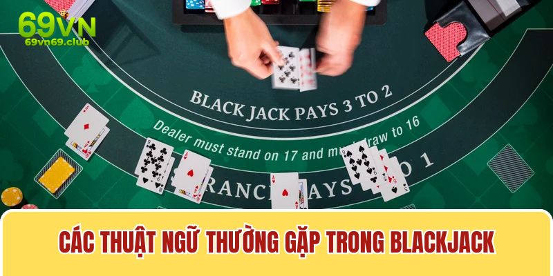 Bộ môn blackjack này có nhiều thuật ngữ khá thú vị