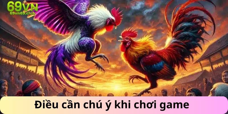 Cần lưu ý khi tham gia đá gà đòn